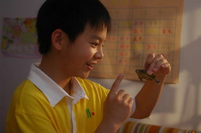 乌龟也上网剧照的剧照