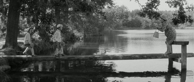 买了新车的霍莫尔卡剧照的剧照