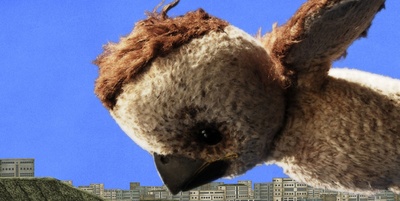 守信的麻雀剧照的剧照