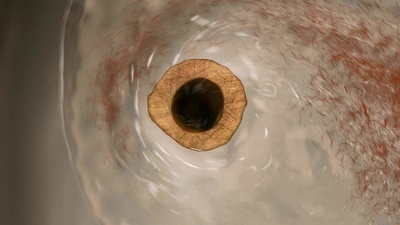 梦工厂动画明星惊魂夜特辑剧照的剧照