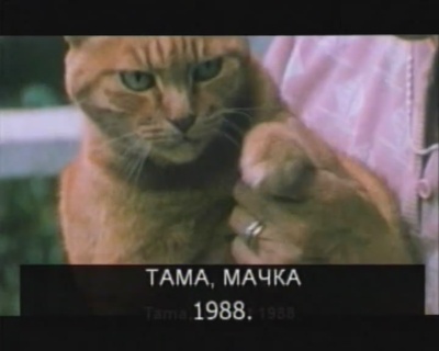 大野一雄：我舞踏進光里剧照的剧照