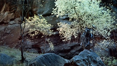 锡安峡谷剧照的剧照