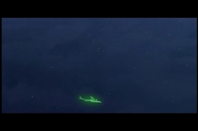 微笑的鱼剧照的剧照