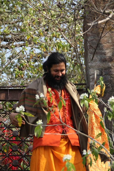 金梦剧照的剧照