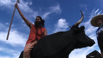 金梦剧照的剧照