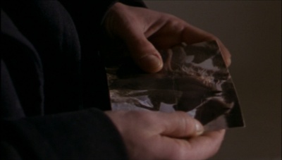 许愿瓶剧照的剧照