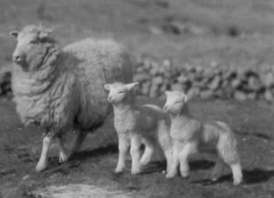 阿兰人剧照的剧照