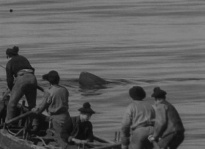 阿兰人剧照的剧照