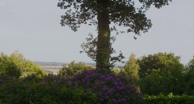 阿兰胡埃斯的美好日子剧照的剧照