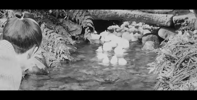 椿三十郎剧照的剧照