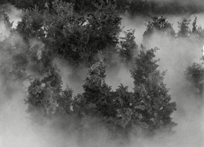 蜘蛛巢城剧照的剧照