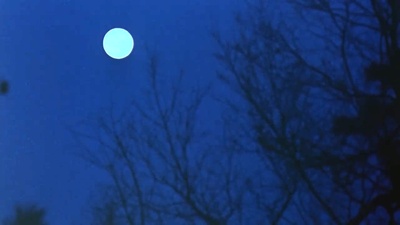 花旗少林剧照的剧照