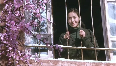 花旗少林剧照的剧照