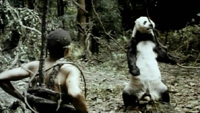 非洲超人剧照的剧照