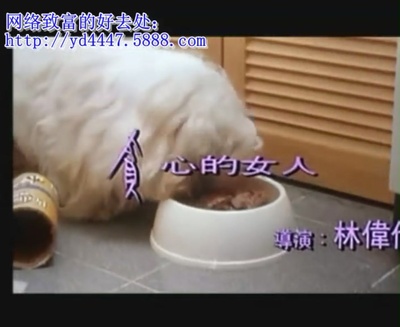 恋爱的天空剧照的剧照