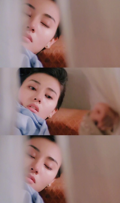 醉拳3剧照的剧照