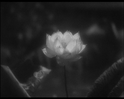 姿三四郎剧照的剧照