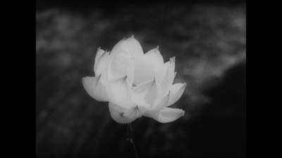 姿三四郎剧照的剧照