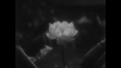 姿三四郎剧照的剧照