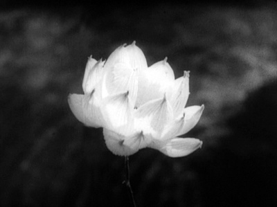 姿三四郎剧照的剧照