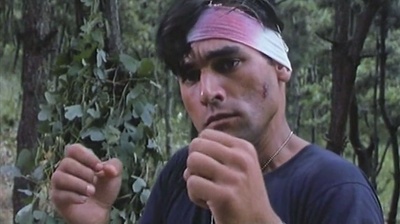 青蜂侠剧照的剧照