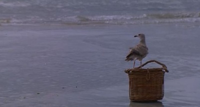 天涯海角剧照的剧照