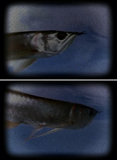 无名地带剧照的剧照