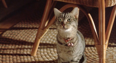 体热边缘剧照的剧照