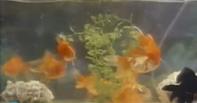 乱世超人剧照的剧照