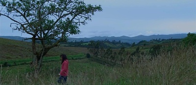 罂粟田剧照的剧照