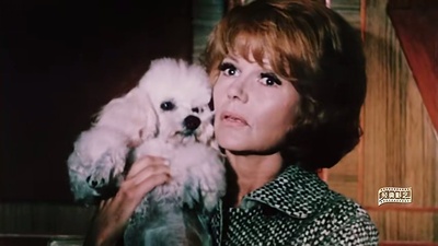 罂粟也是花剧照的剧照