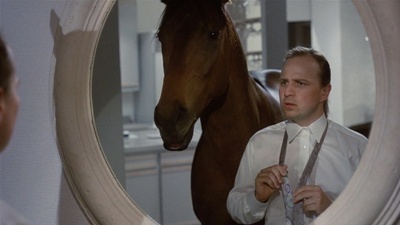 灵马神驱剧照的剧照