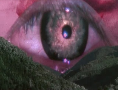 八月狂想曲剧照的剧照