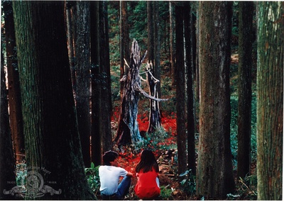 八月狂想曲剧照的剧照