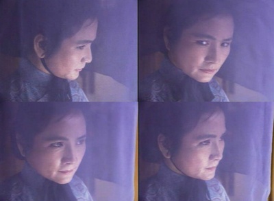 神凤苗翠花剧照的剧照