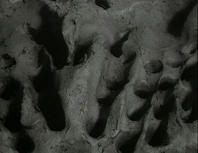 鄂榭府崩溃记剧照的剧照