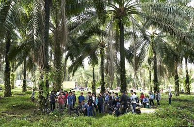 复仇岛剧照的剧照