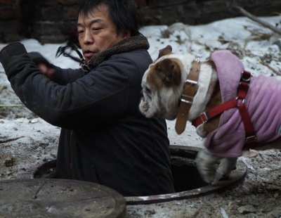 倔强萝卜剧照的剧照