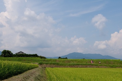 帮老爸拍张照剧照的剧照