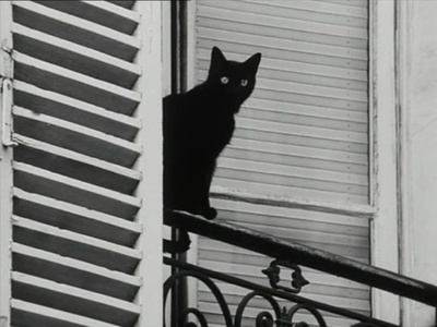 平凡情人剧照的剧照