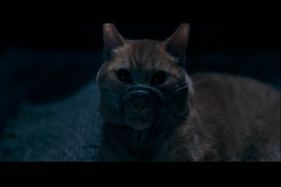 纳尼亚传奇2：凯斯宾王子剧照的剧照