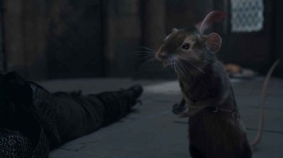 纳尼亚传奇2：凯斯宾王子剧照的剧照