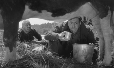 牛牛与囚犯剧照的剧照