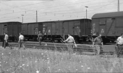 牛牛与囚犯剧照的剧照