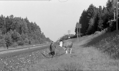 牛牛与囚犯剧照的剧照