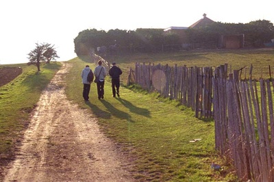 罗伯特超high剧照的剧照