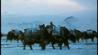 西藏:盐程万里剧照的剧照