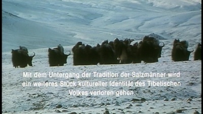 西藏:盐程万里剧照的剧照