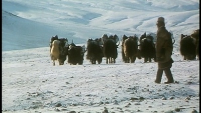西藏:盐程万里剧照的剧照