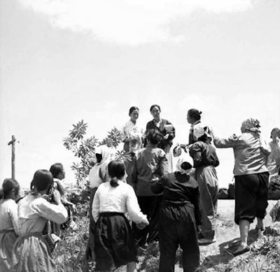 水田地带剧照的剧照